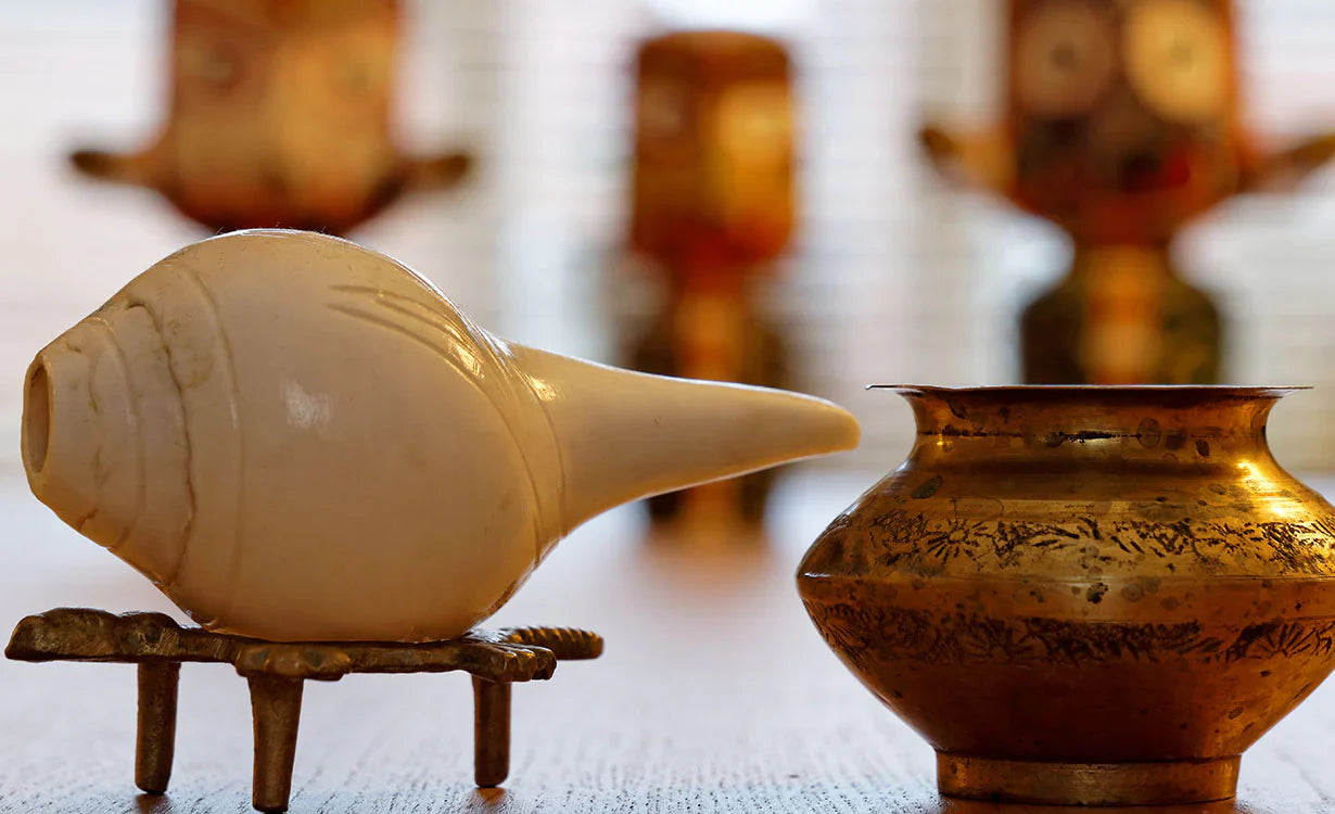 The Spiral-Shelled Marine Conch