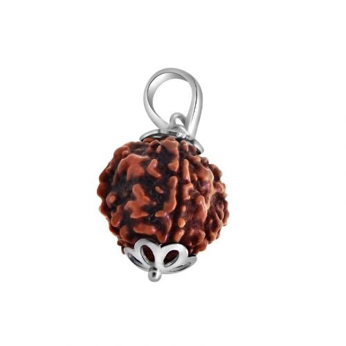 Natural 5 Mukhi Rudraksha – Energized for Astrology Use