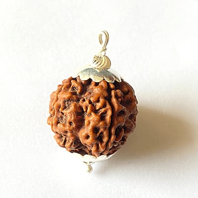6 Mukhi Rudraksha Bead – Six-Faced Sacred Rudraksha for Spiritual Practice