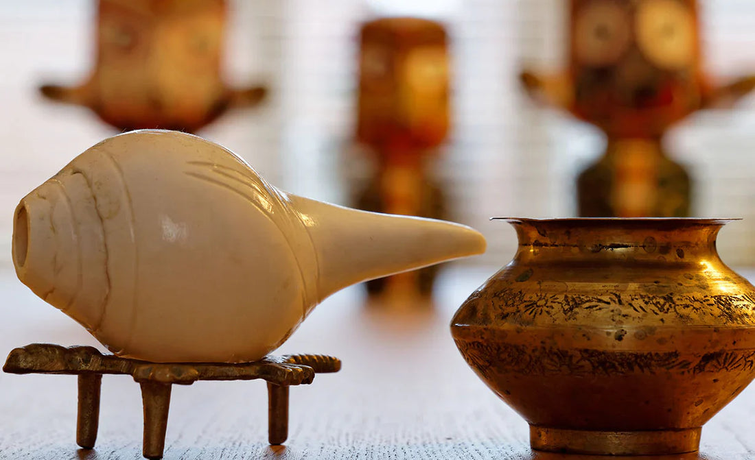 The Spiral-Shelled Marine Conch